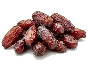 گوردیال